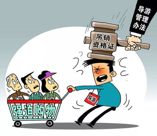 2018年1月1日起，黃石人生活質(zhì)量提升新規(guī)與上海網(wǎng)絡(luò)技術(shù)轉(zhuǎn)讓的聯(lián)動(dòng)影響